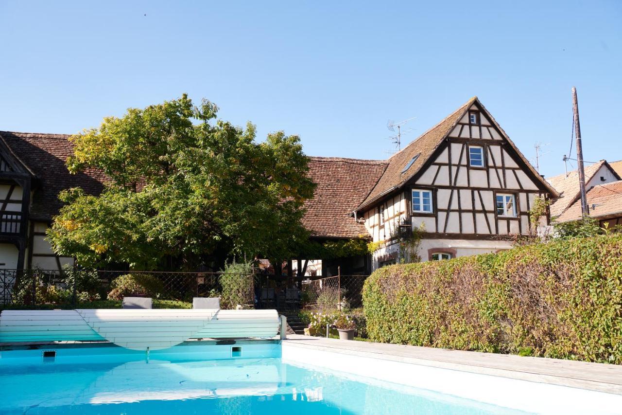 La Cour De Lise Maison D'Hotes Et Spa Willgottheim Exterior photo